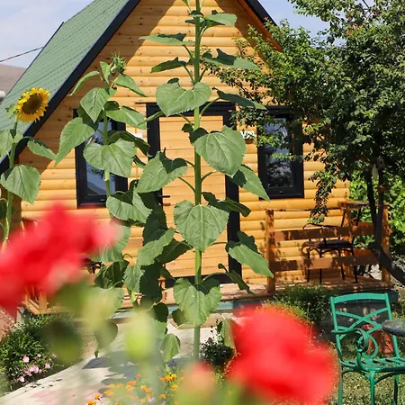 Villa Wood House Berat