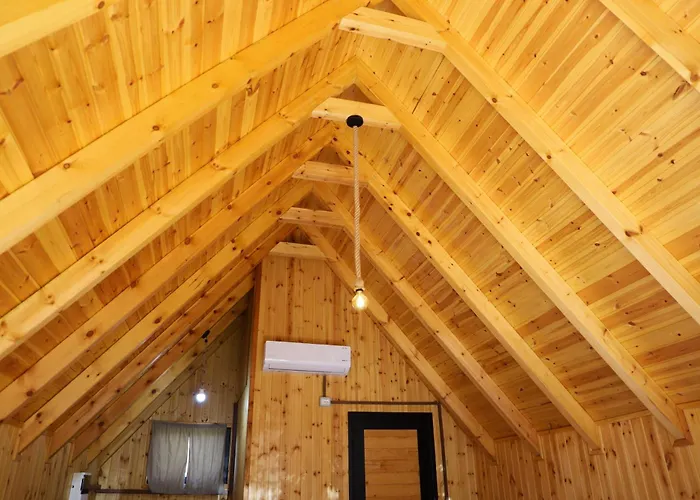 Wood House