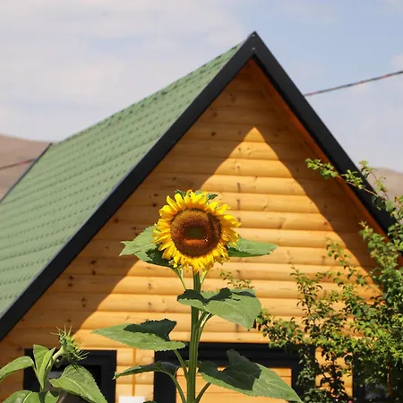 Villa Wood House Berat