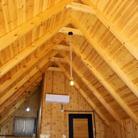 Wood House