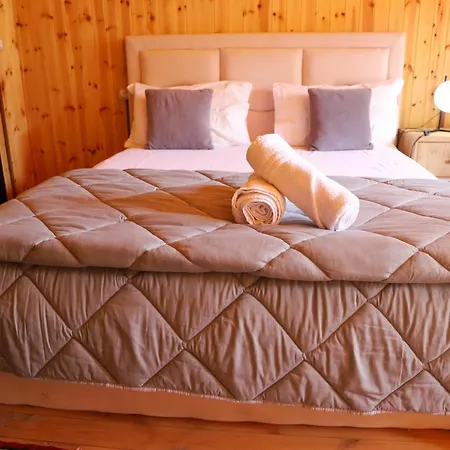 Wood House Villa