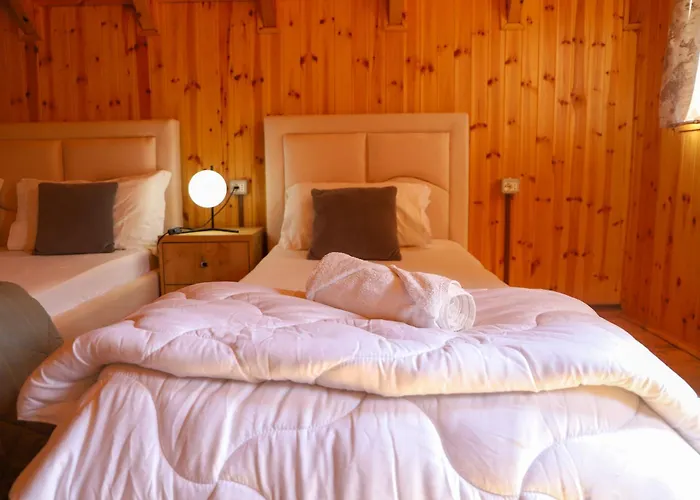 Wood House Willa Berat