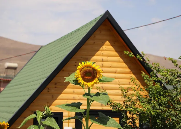 Vila Wood House Berat