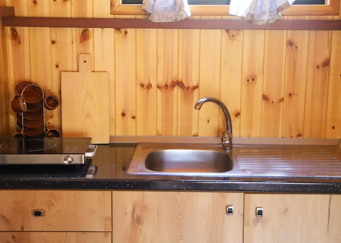 Wood House Vila