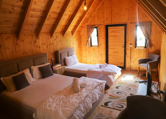 Vila Wood House