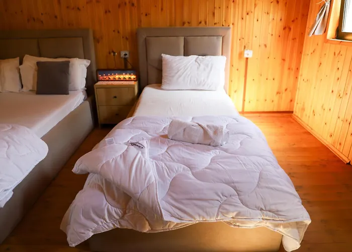 Wood House Vila *