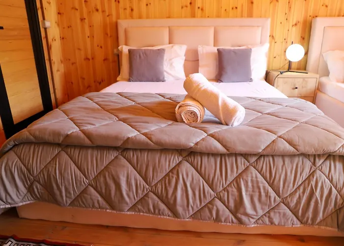 Wood House Vila