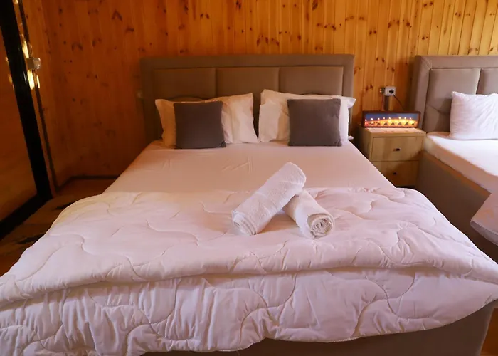 Vila Wood House